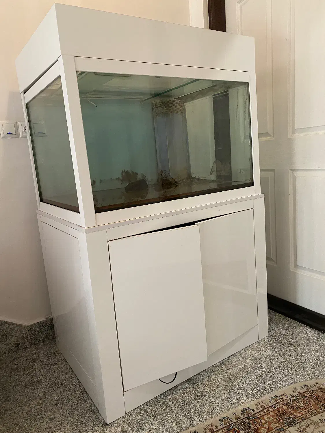 آکواریوم|ماهی|ارومیه, |دیوار