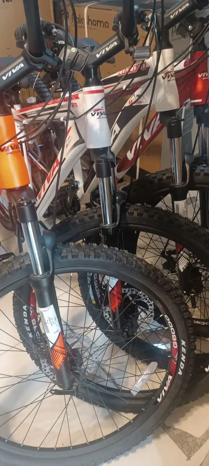 دوچرخه ویوا آکبند ونو|دوچرخه، اسکیت، اسکوتر|محمدشهر, همایون ویلا|دیوار