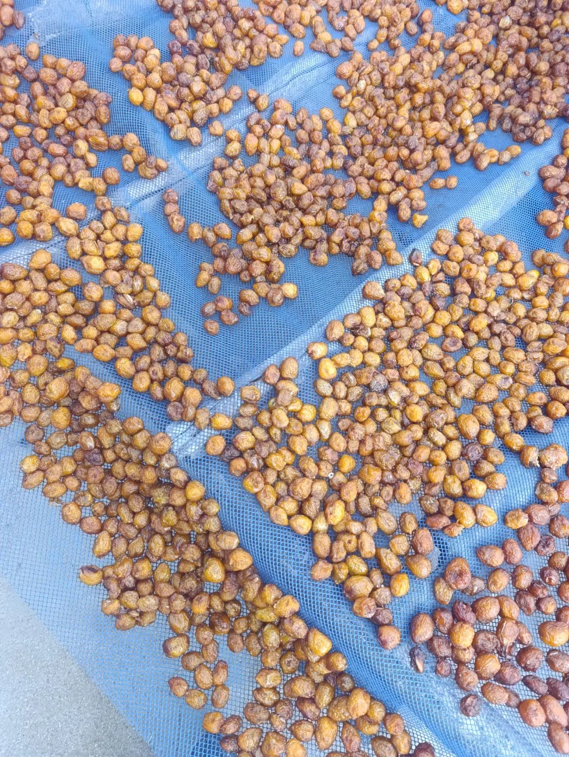 الو|خوردنی و آشامیدنی|تویسرکان, |دیوار