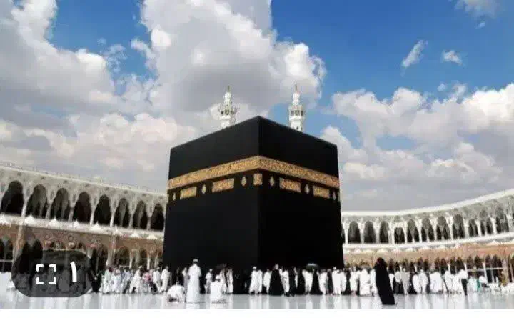 فیش عمره|تور و چارتر|تهران, افسریه جنوبی|دیوار