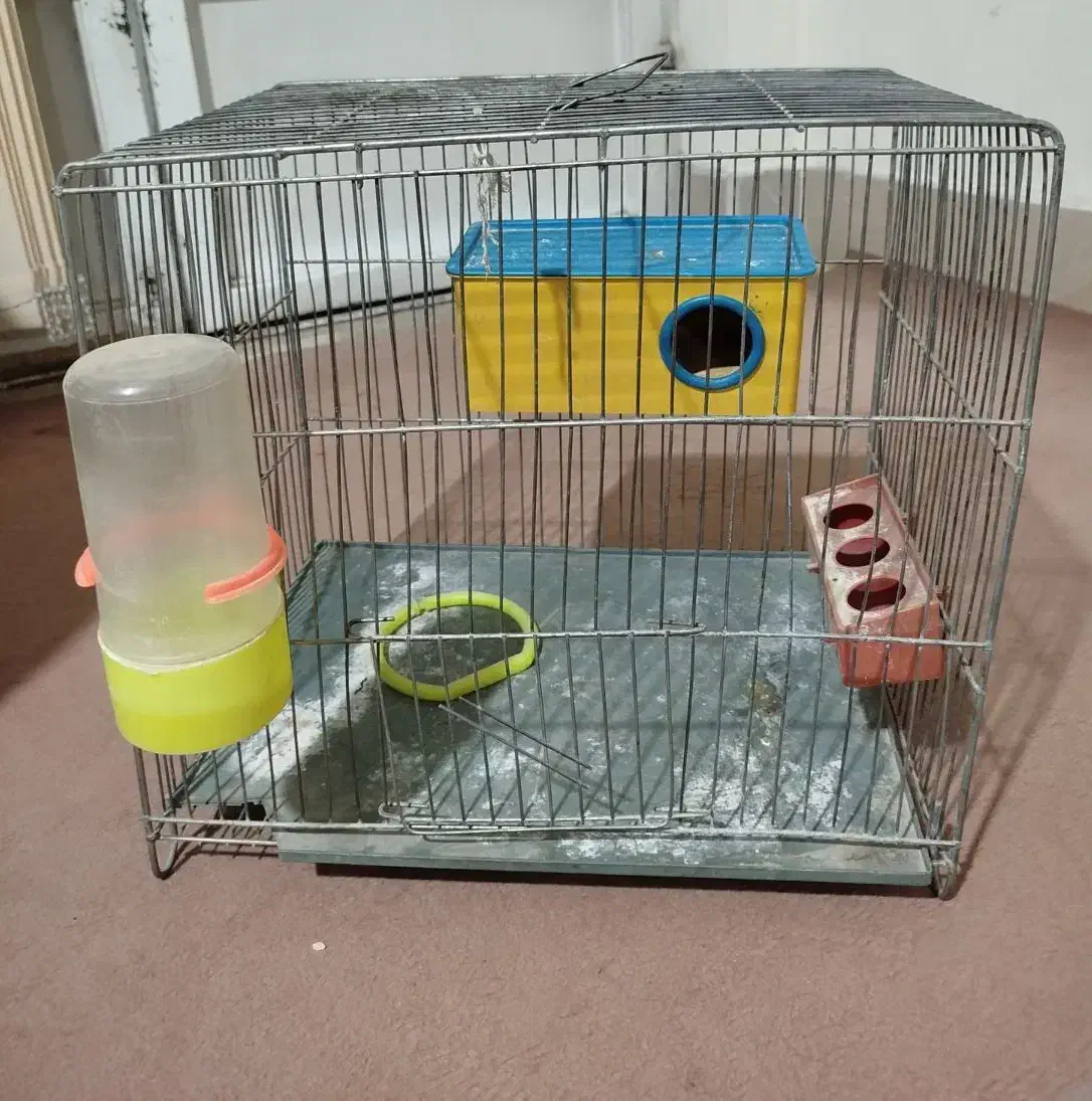 قفس پرنده|لوازم جانبی حیوانات|شیراز, شهرک گلستان|دیوار