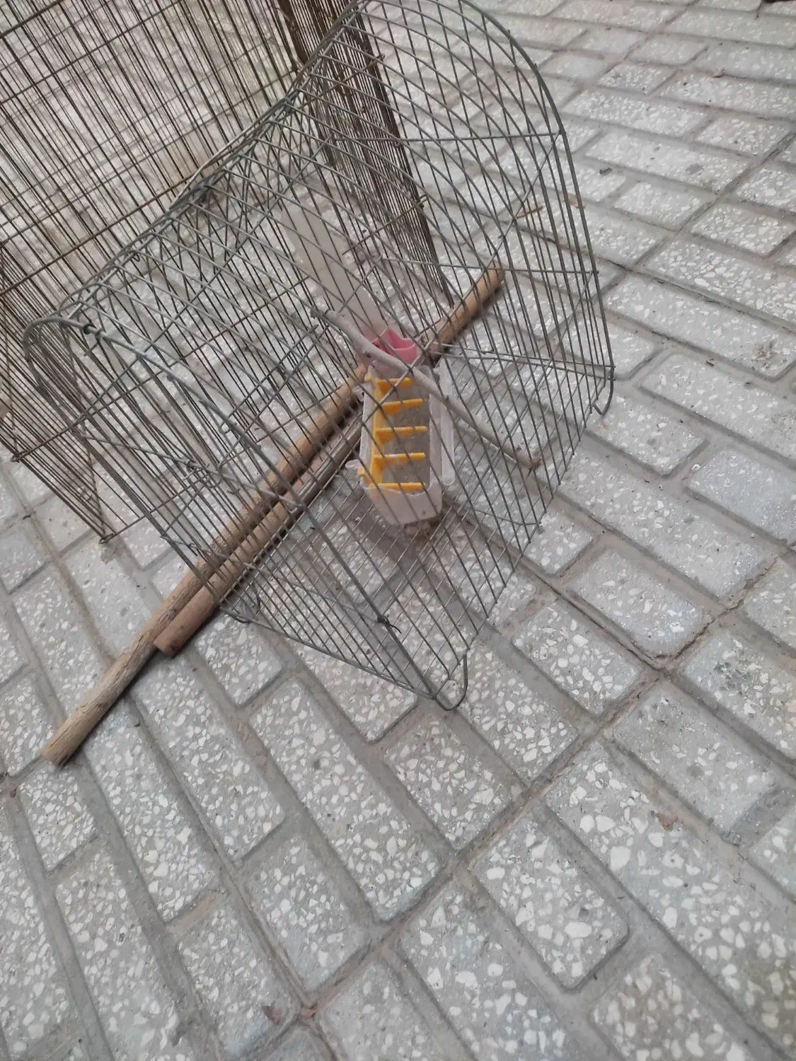 قفس|لوازم جانبی حیوانات|سبزوار, بیهق شرقی|دیوار