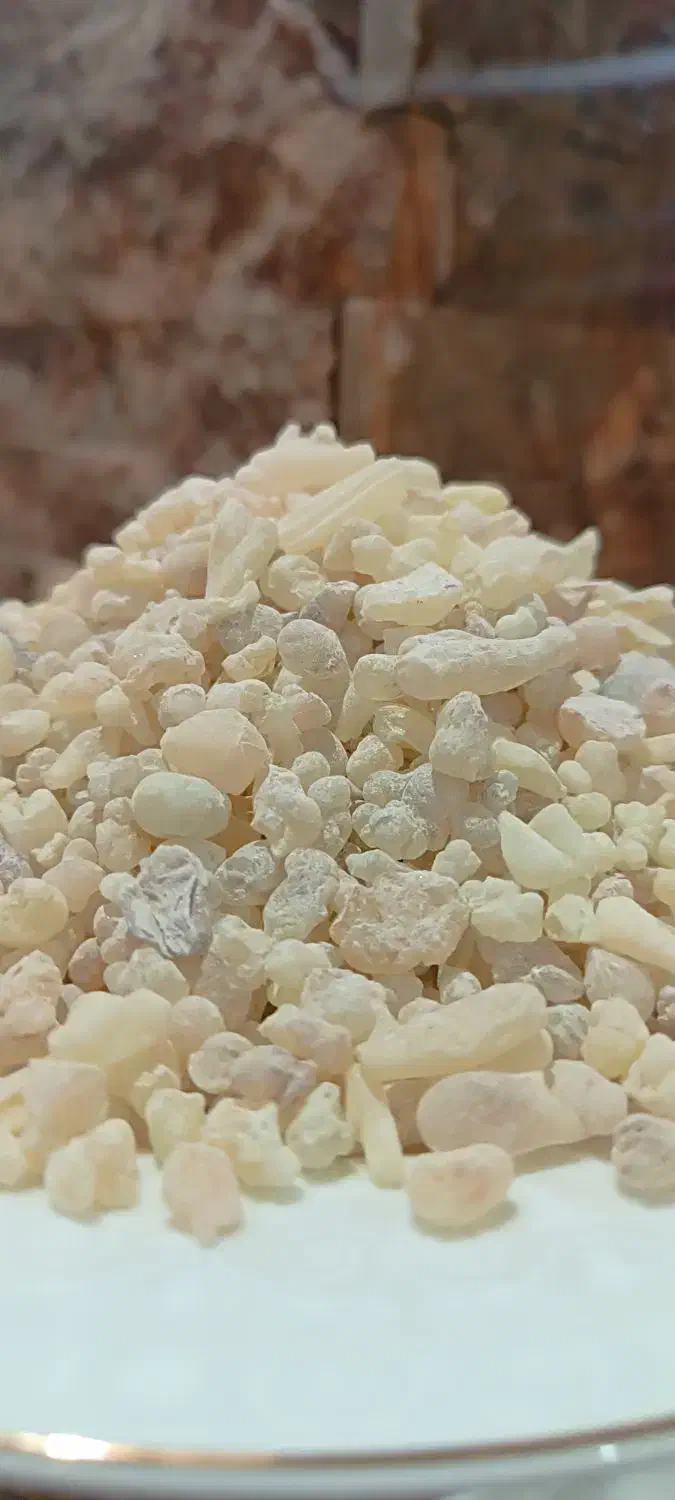 کندر اماراتی|خوردنی و آشامیدنی|اهواز, معین زاده|دیوار