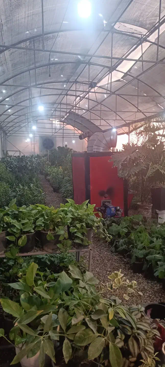 خدمات نگهداری گیاهان در بخشی از گلخانه|اجارهٔ دفتر صنعتی، کشاورزی، تجاری|تهران, میدان میوه و ترهبار مرکزی|دیوار