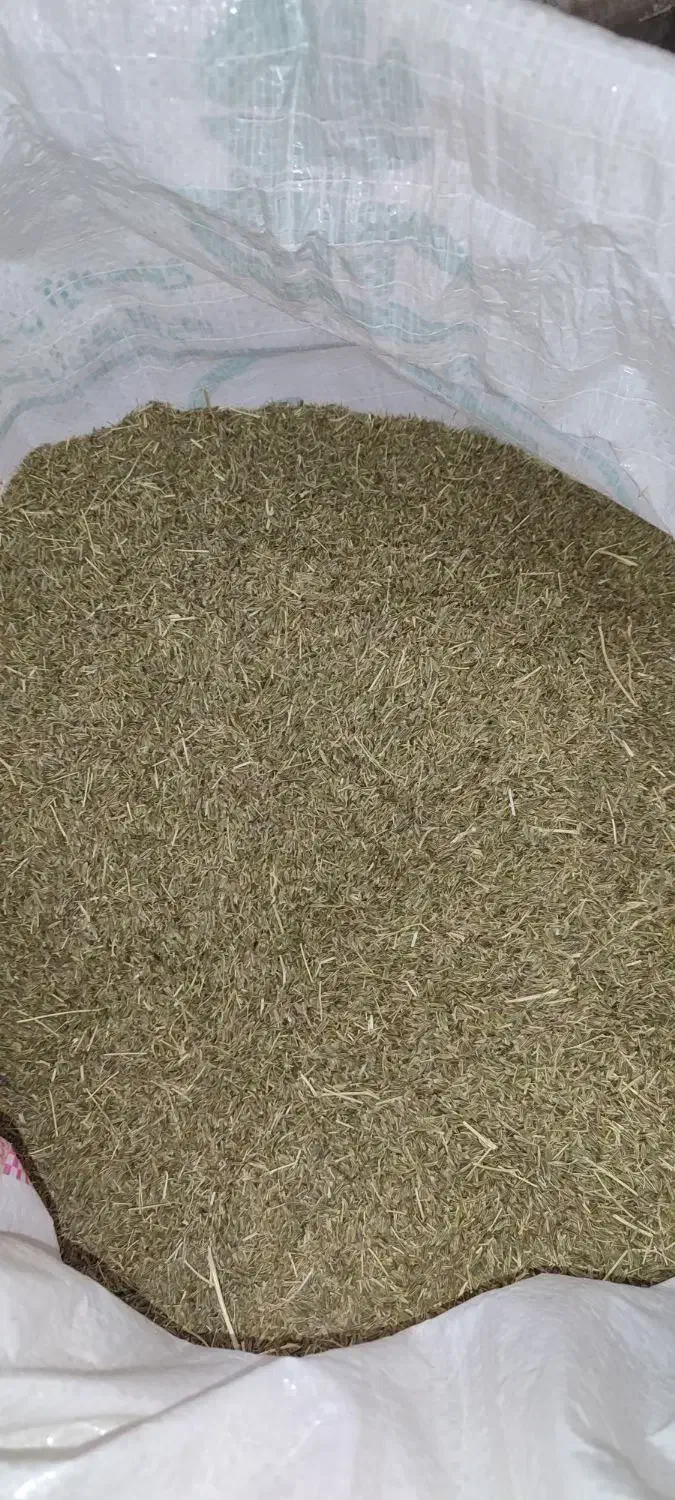 زیره سبز (کرابیه)|خوردنی و آشامیدنی|تربت جام, جامرود|دیوار