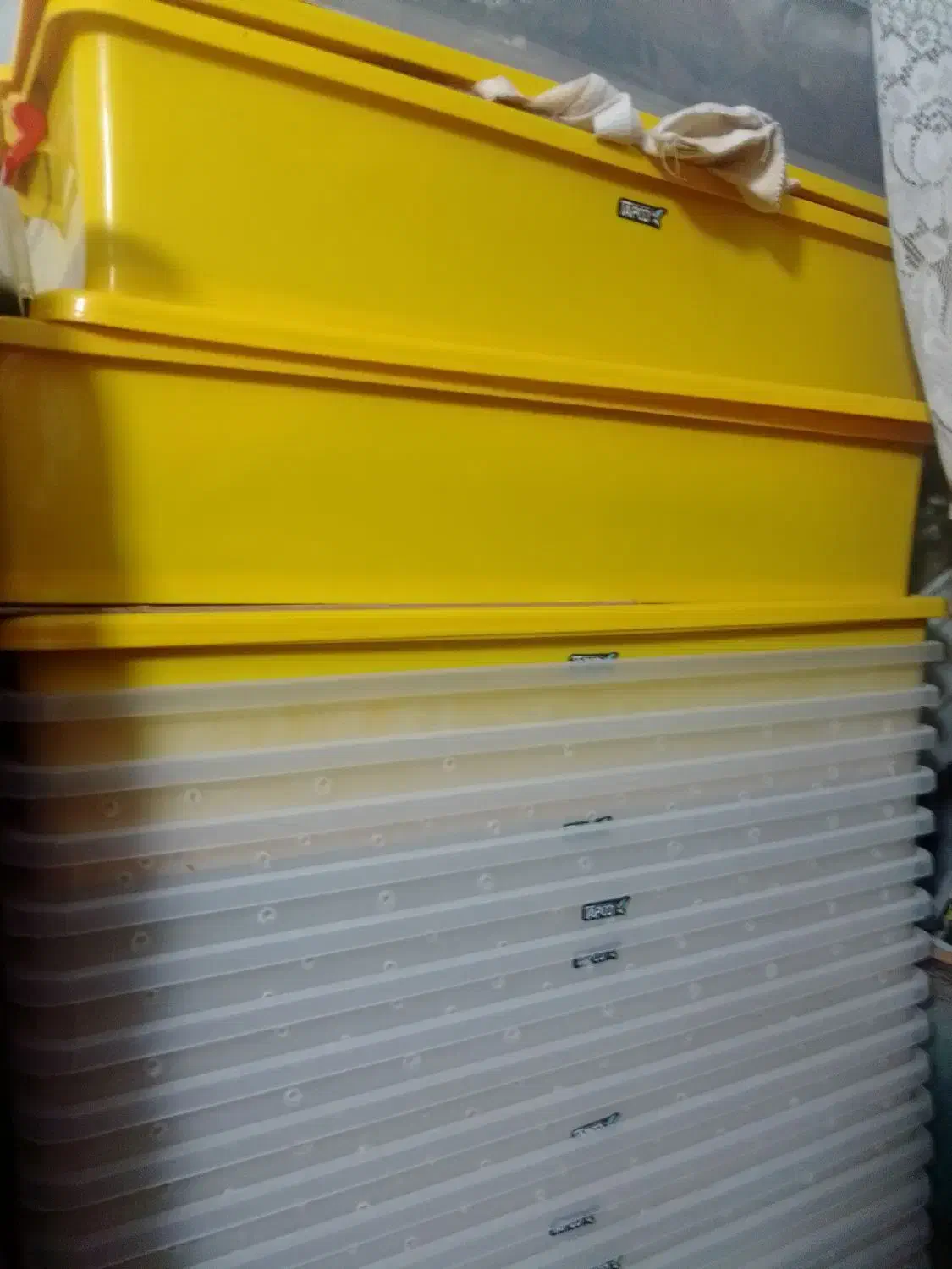 باکس40*80|ظروف نگهدارنده، پلاستیکی، یک‌بارمصرف|مشهد, طرق|دیوار