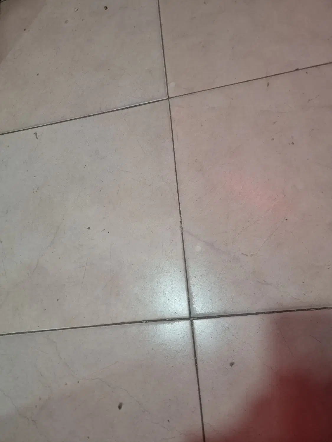 سالن بابرق ۳فاز و گاز ارتفاع ۵ متر و کف  دیواربتون|اجارهٔ دفتر صنعتی، کشاورزی، تجاری|محمدشهر, کوی بهار|دیوار