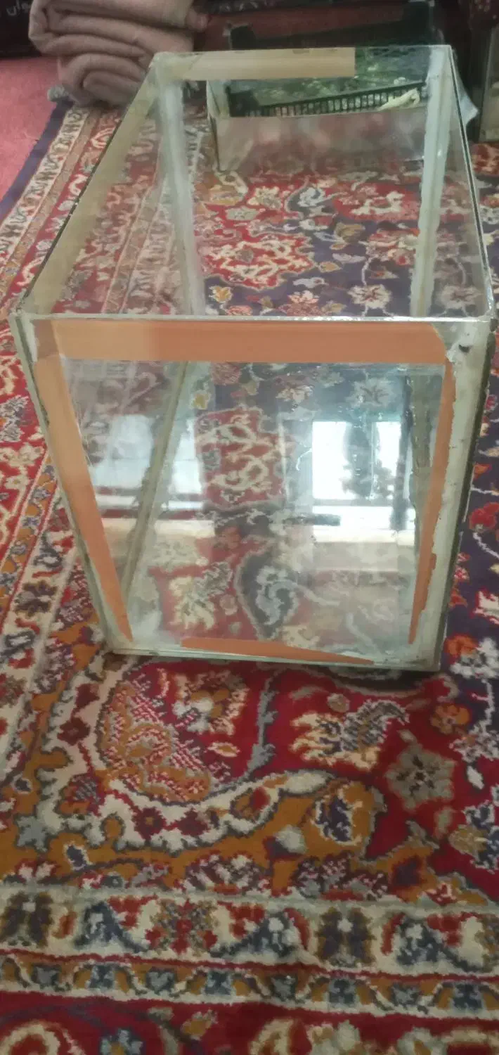 فروش  آکواریوم  سالم  به  ابعاد طول ۴۸  عرض ۳۳/۵|ماهی|اصفهان, حصه شمالی|دیوار