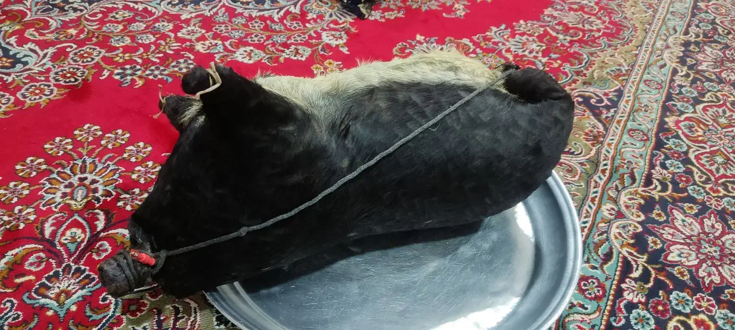 هیزه|صنایع دستی و سایر لوازم تزئینی|کوهدشت, |دیوار