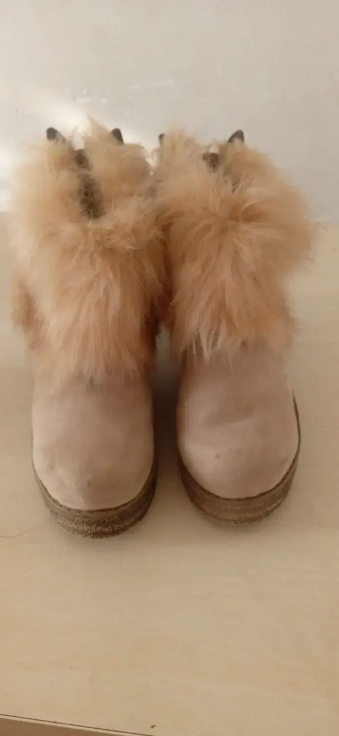 کفش|کیف، کفش، کمربند|ملایر, |دیوار