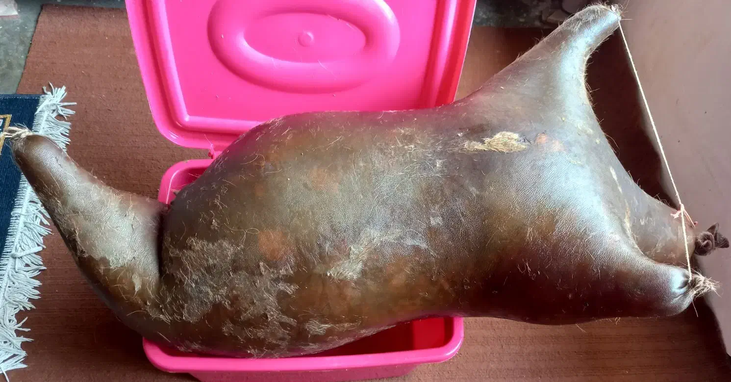 هیزه ۵ منی|صنایع دستی و سایر لوازم تزئینی|بیستون, |دیوار