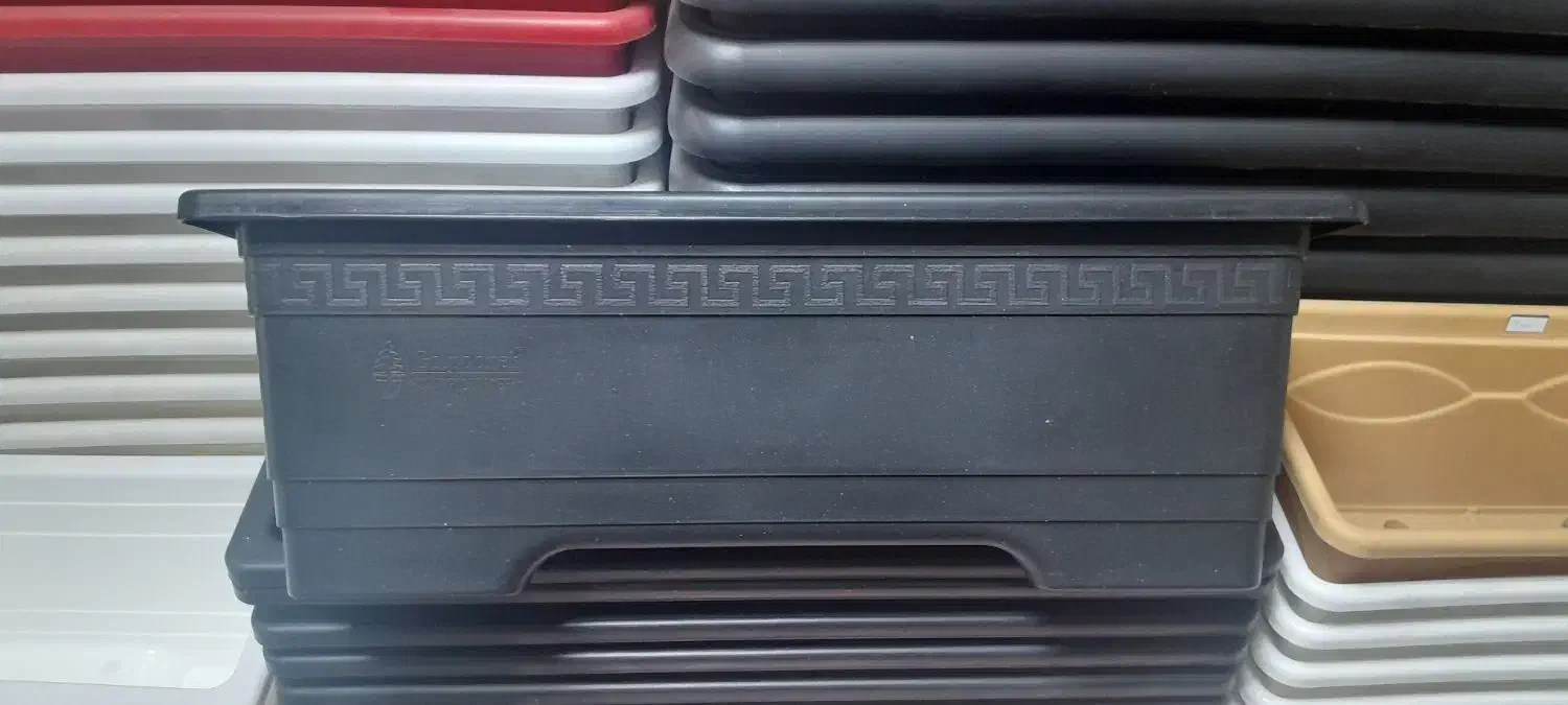 گل طبیعی وگلدان پلاستیکی|گل و گیاه طبیعی|مشهد, شهرک صنعتی توس|دیوار