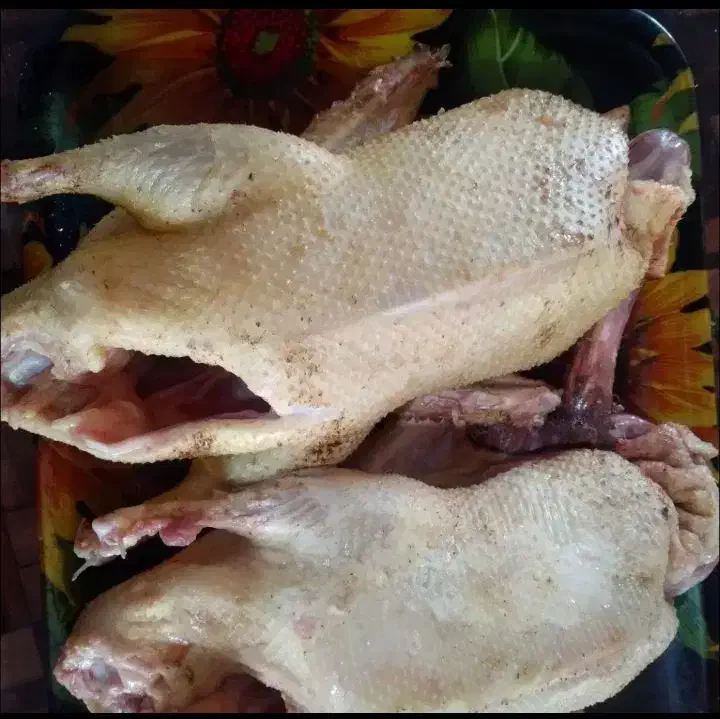 ارگانیک . اردک محلی باغی420|خوردنی و آشامیدنی|رشت, احمد گوراب|دیوار