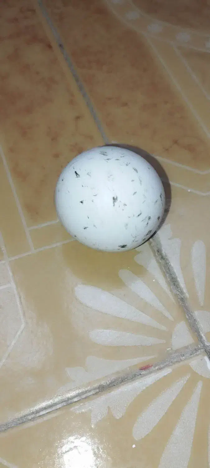 سنگ آسیاب|کلکسیون اشیاء عتیقه|سنندج, |دیوار