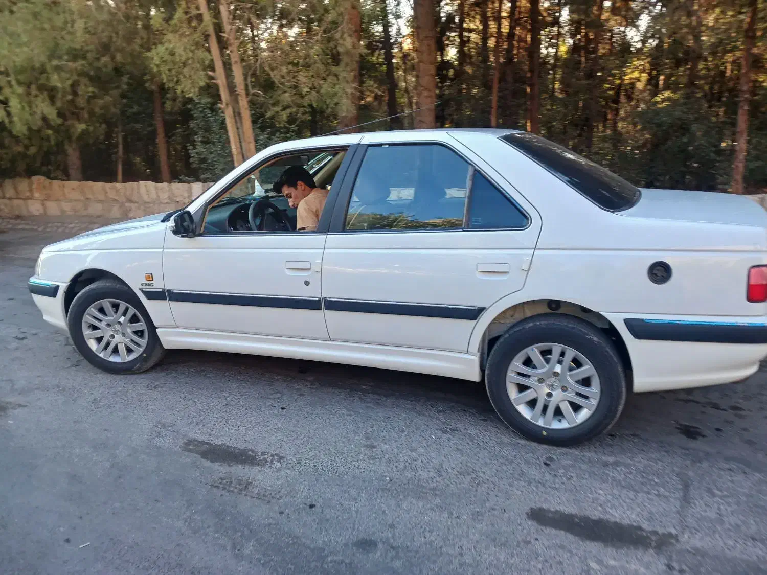 پارس دوگانه|خودرو سواری و وانت|بم, |دیوار