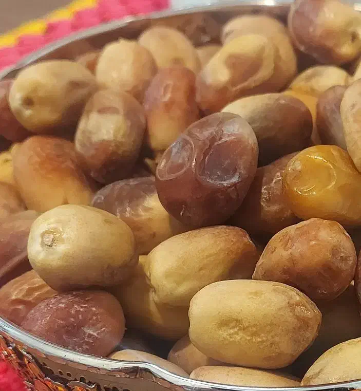 قصب خوش طعم وباکیفیت|خوردنی و آشامیدنی|بهمن صغاد, |دیوار