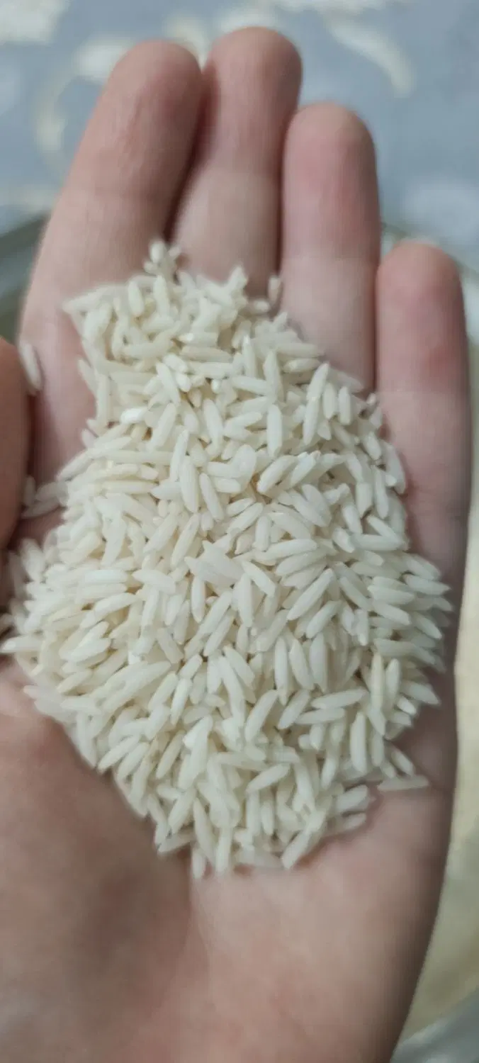 برنج هاشمی درجه یک سورتینگ خورده یدست قضاوت باخودت|خوردنی و آشامیدنی|تهران, شهادت|دیوار