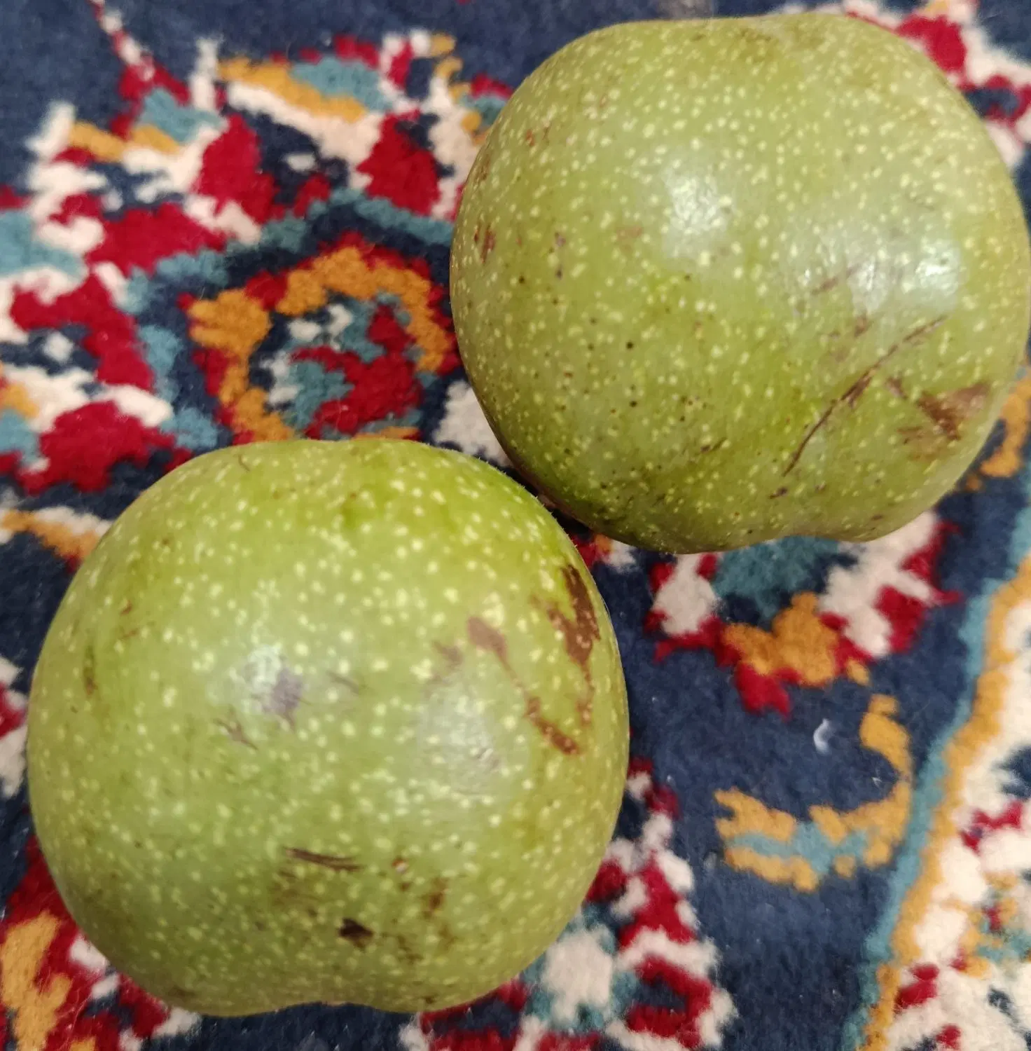 گردو سبز|خوردنی و آشامیدنی|تهران, شهرک صادقیه|دیوار