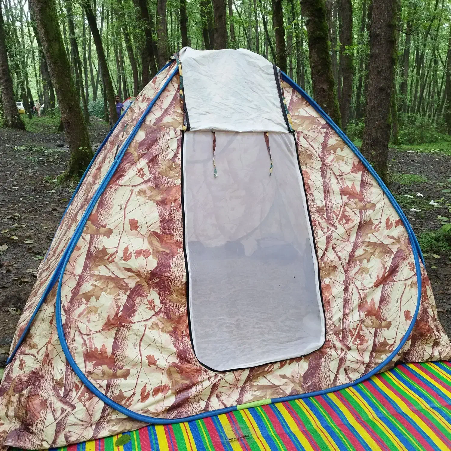 چادر مسافرتی ۱۲ نفره با طرح زیبای پائیزی|کوهنوردی و کمپینگ|فردیس, فرامرزیه|دیوار