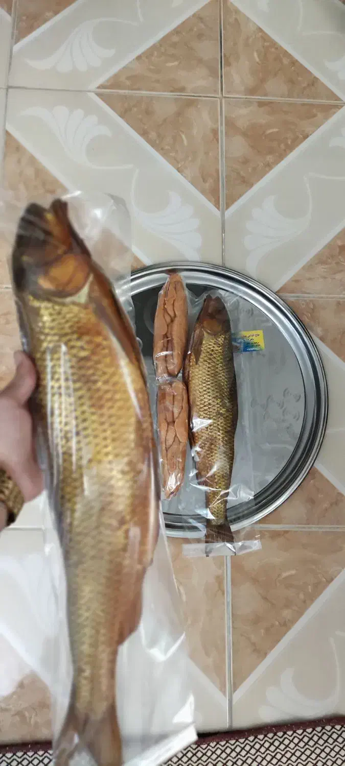 فروش انواع ماهی سفید دودی لوکس و اشبل|ماهی|رشت, چمارسرا|دیوار
