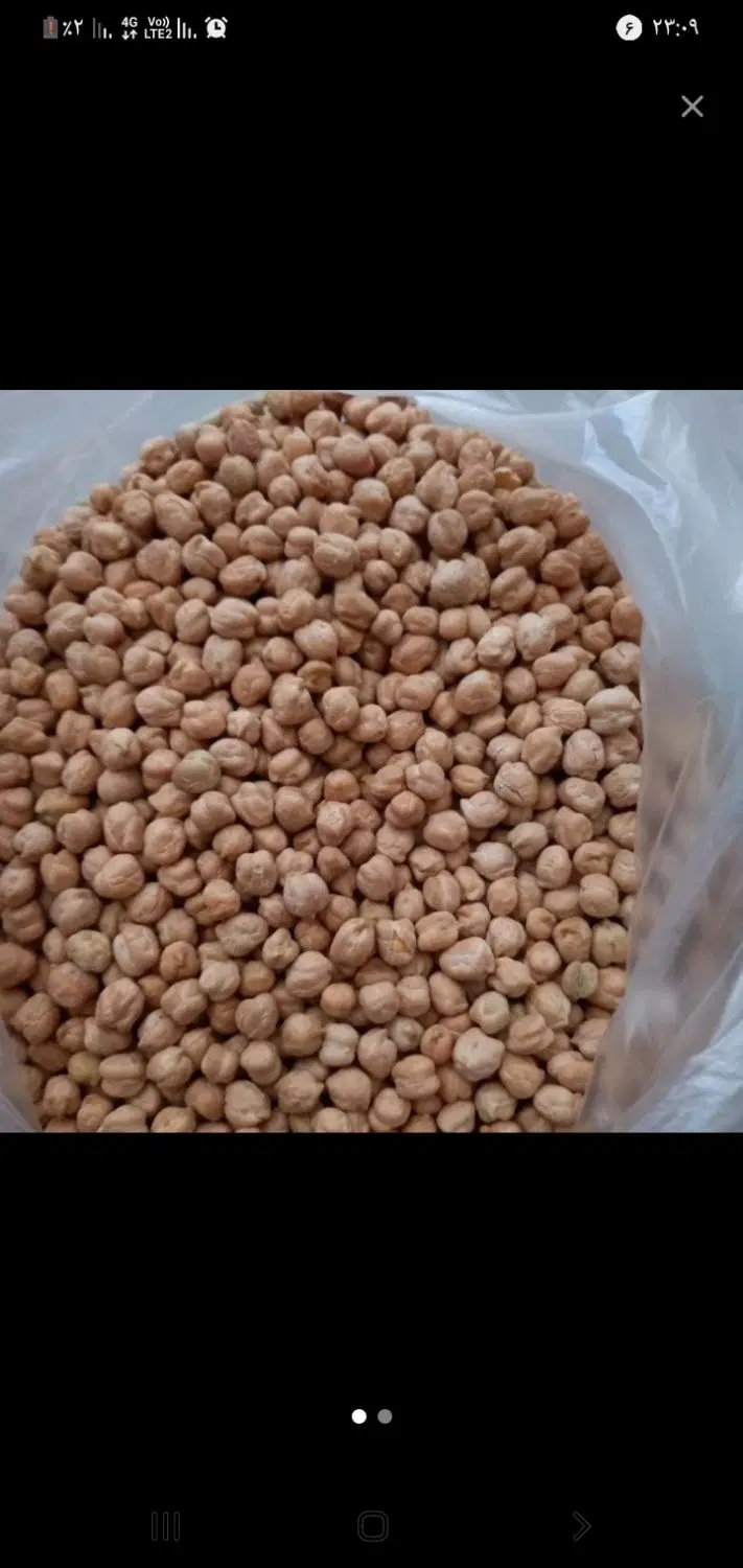 نخود|خوردنی و آشامیدنی|تهران, مقدم|دیوار