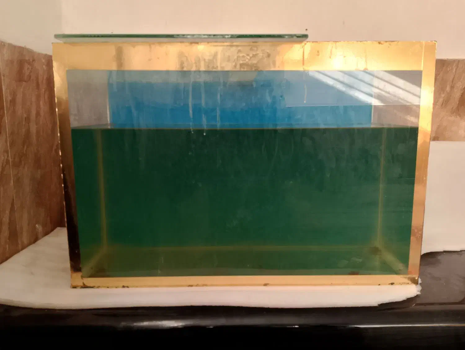 آکواریوم|ماهی|مشهد, همت آباد|دیوار