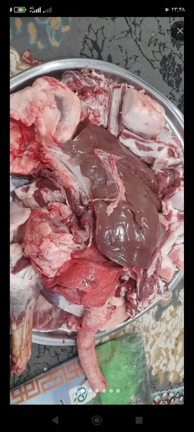 قصابی میش|حیوانات مزرعه|ایذه, |دیوار