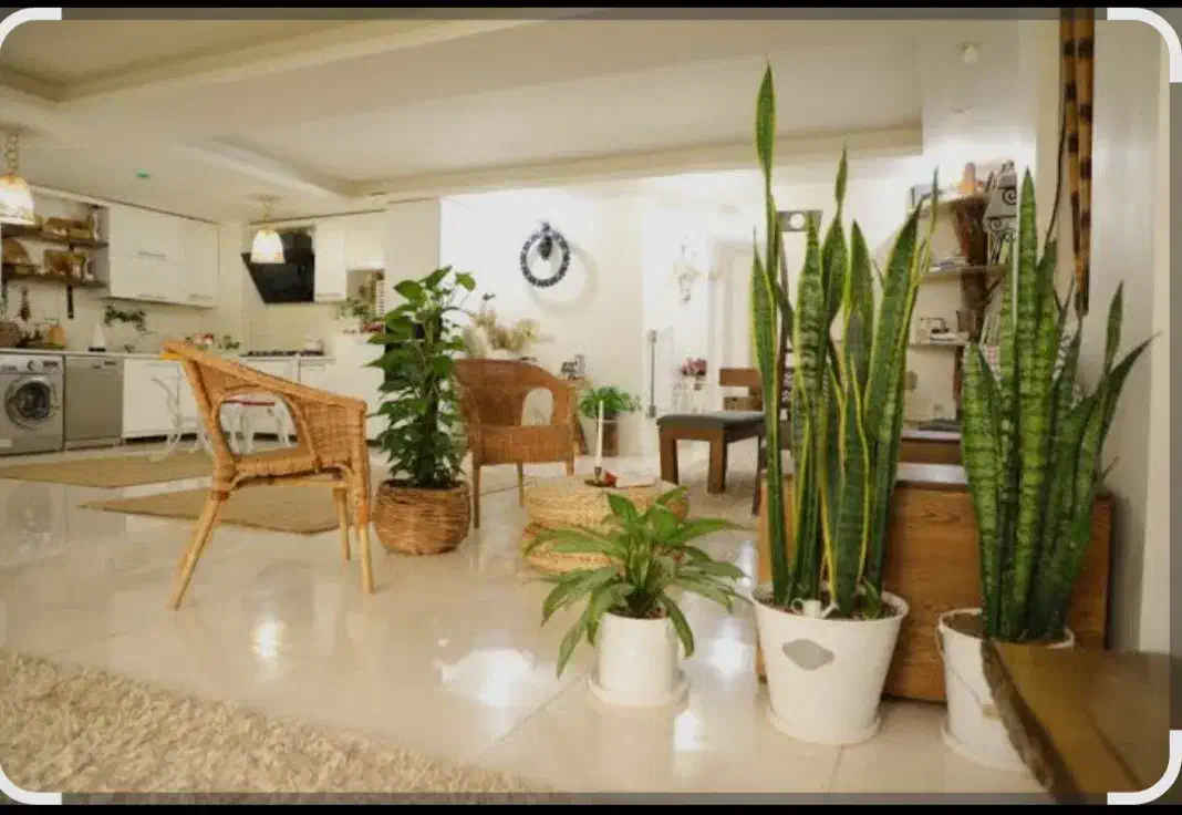 اجاره واحد ۱۵۰ متری نوساز کلید نخورده|اجارهٔ آپارتمان|ماهدشت, |دیوار