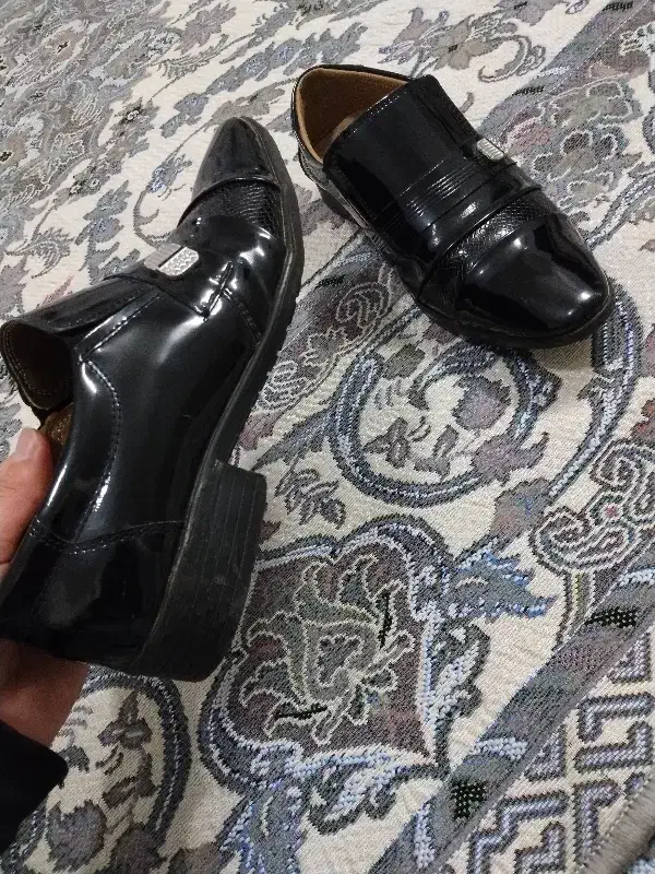 کفش|کیف، کفش، کمربند|قرچک, محمد آباد|دیوار