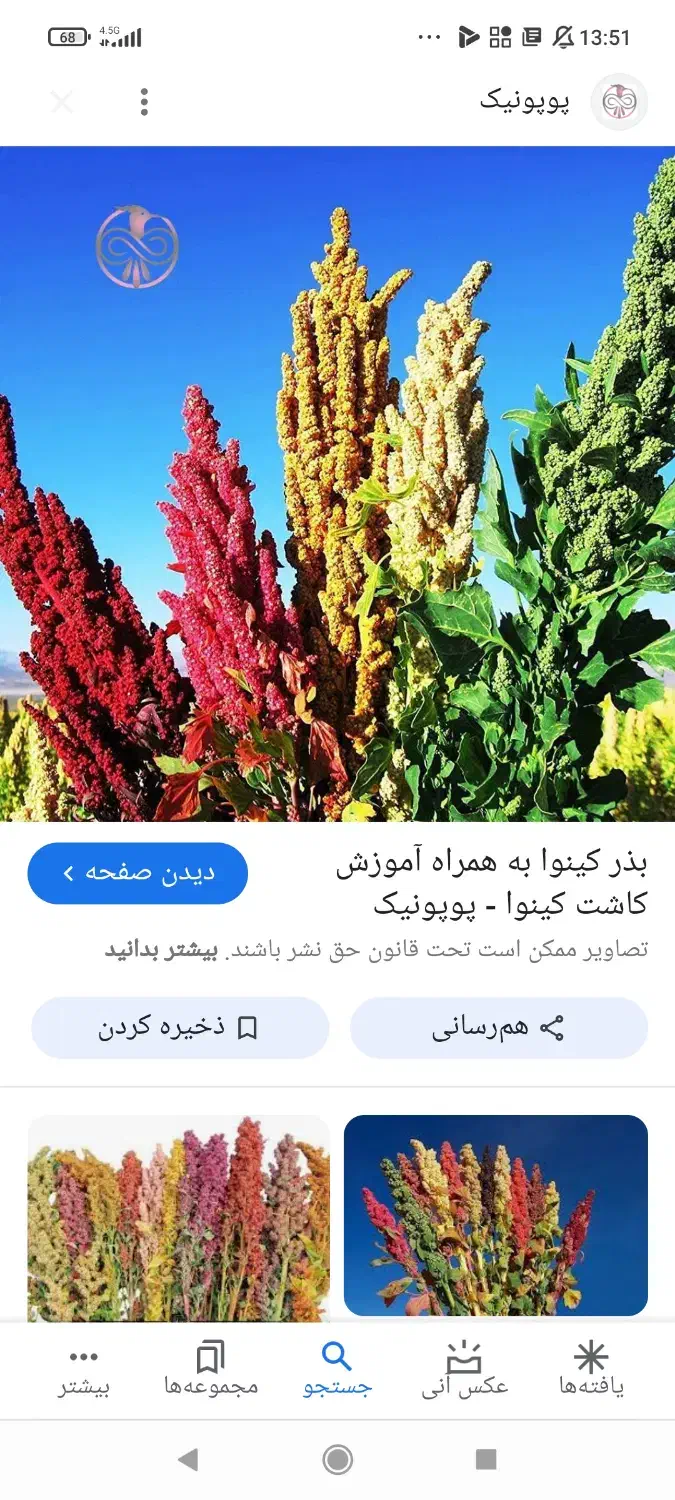 فروش زمین|فروش دفتر صنعتی، کشاورزی، تجاری|شیراز, کودیان|دیوار