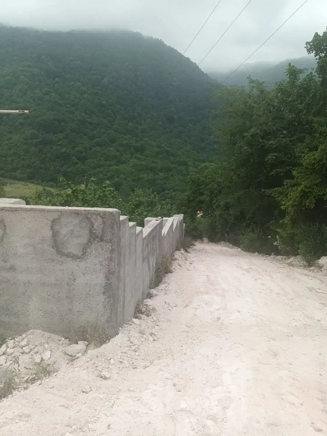 ۸۰۰ مترمربع زمین چالسیو لزیر رویان|فروش زمین و ملک کلنگی|رویان, |دیوار