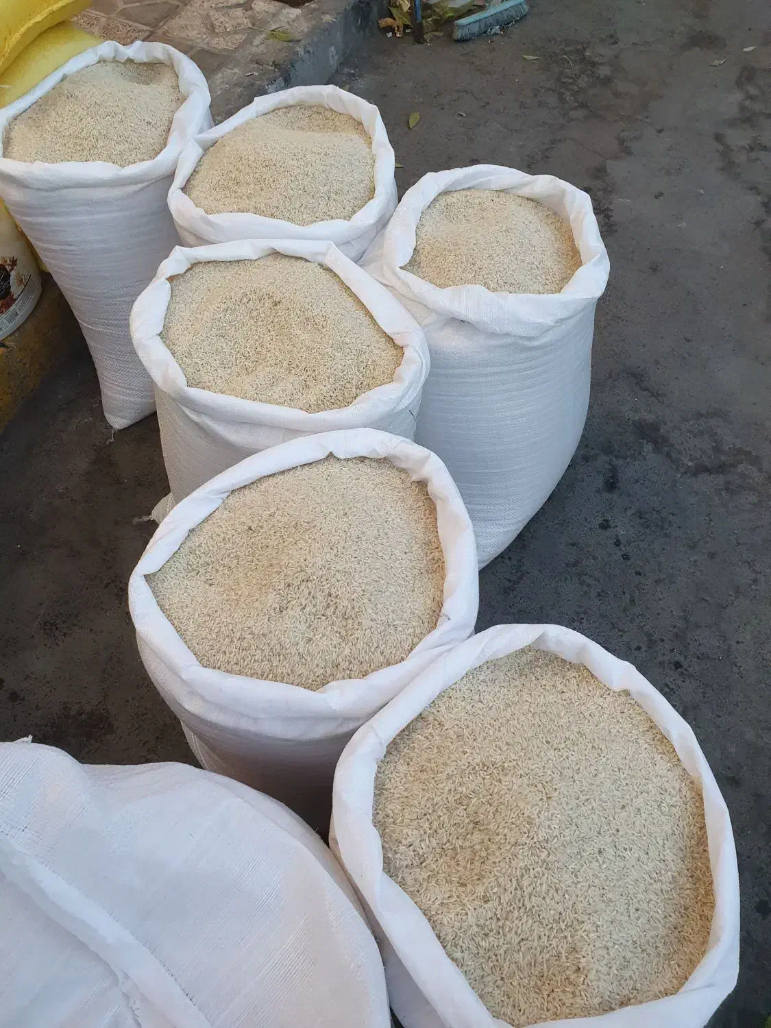 برنج هاشمی مغان و دره رود|خوردنی و آشامیدنی|اهر, |دیوار