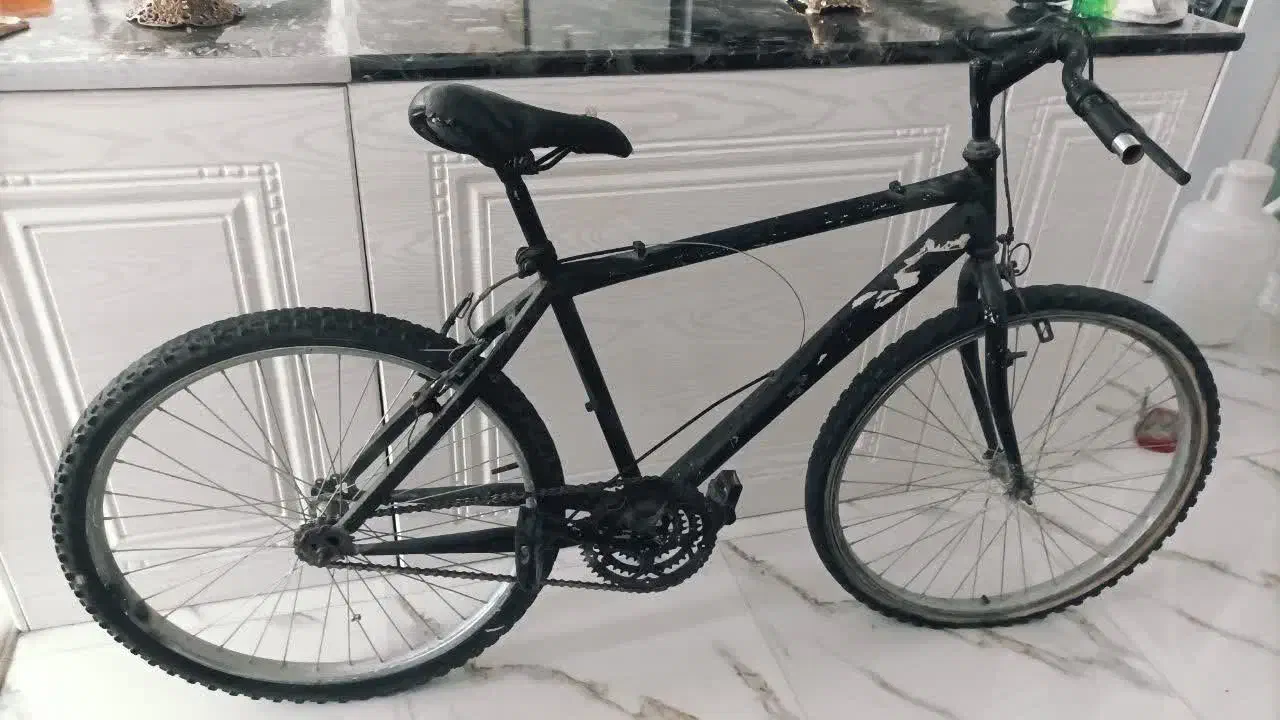 دوچرخه سالم ۲۴|دوچرخه، اسکیت، اسکوتر|کاشان, کارگر|دیوار