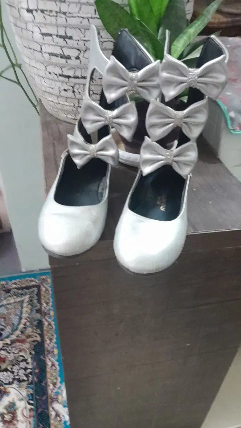 کاپشن تمیزدخترانه|لباس|مشهد, شیرودی|دیوار