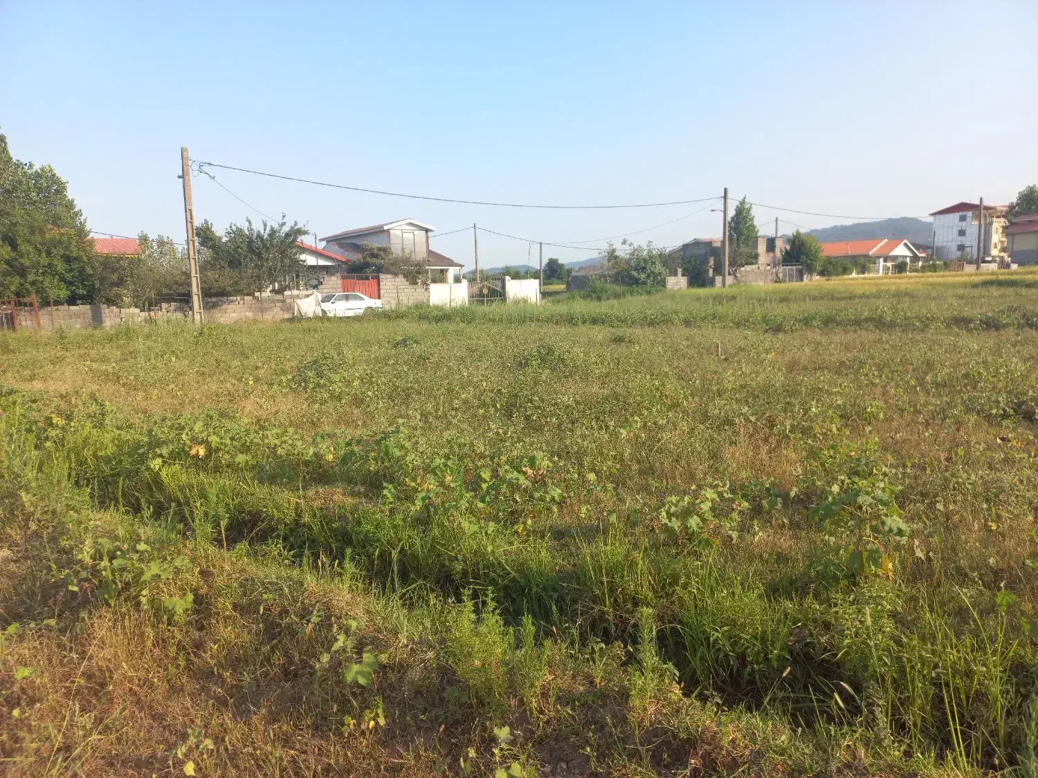 فروش ۲۰۰۰ متر زمین داخل طرح چسبیده به مسکونی|فروش زمین و ملک کلنگی|پره‌سر, |دیوار