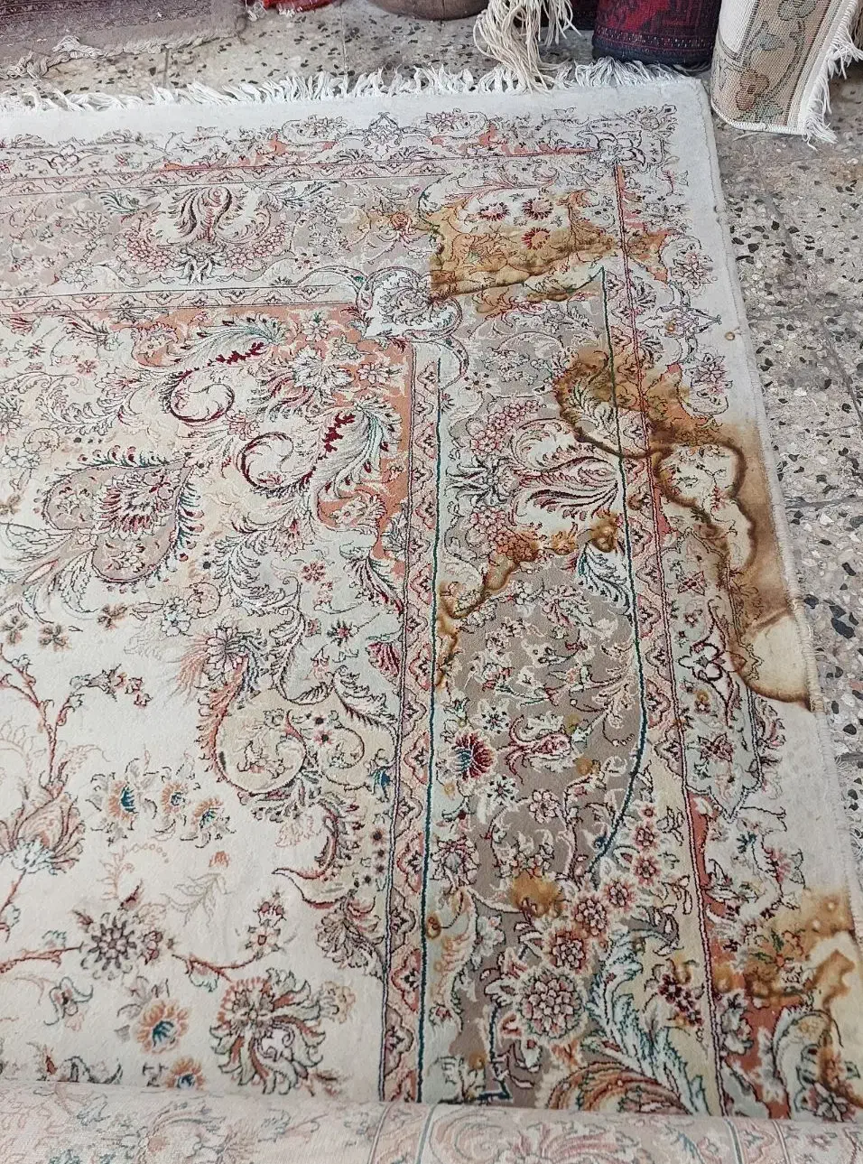 رفوگری فرش تعمیرات تخصصی فرش|خدمات پیشه و مهارت|بیرجند, |دیوار