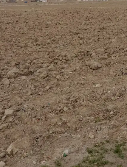 فروش زمین کشاورزی|فروش زمین و ملک کلنگی|مبارکه, |دیوار