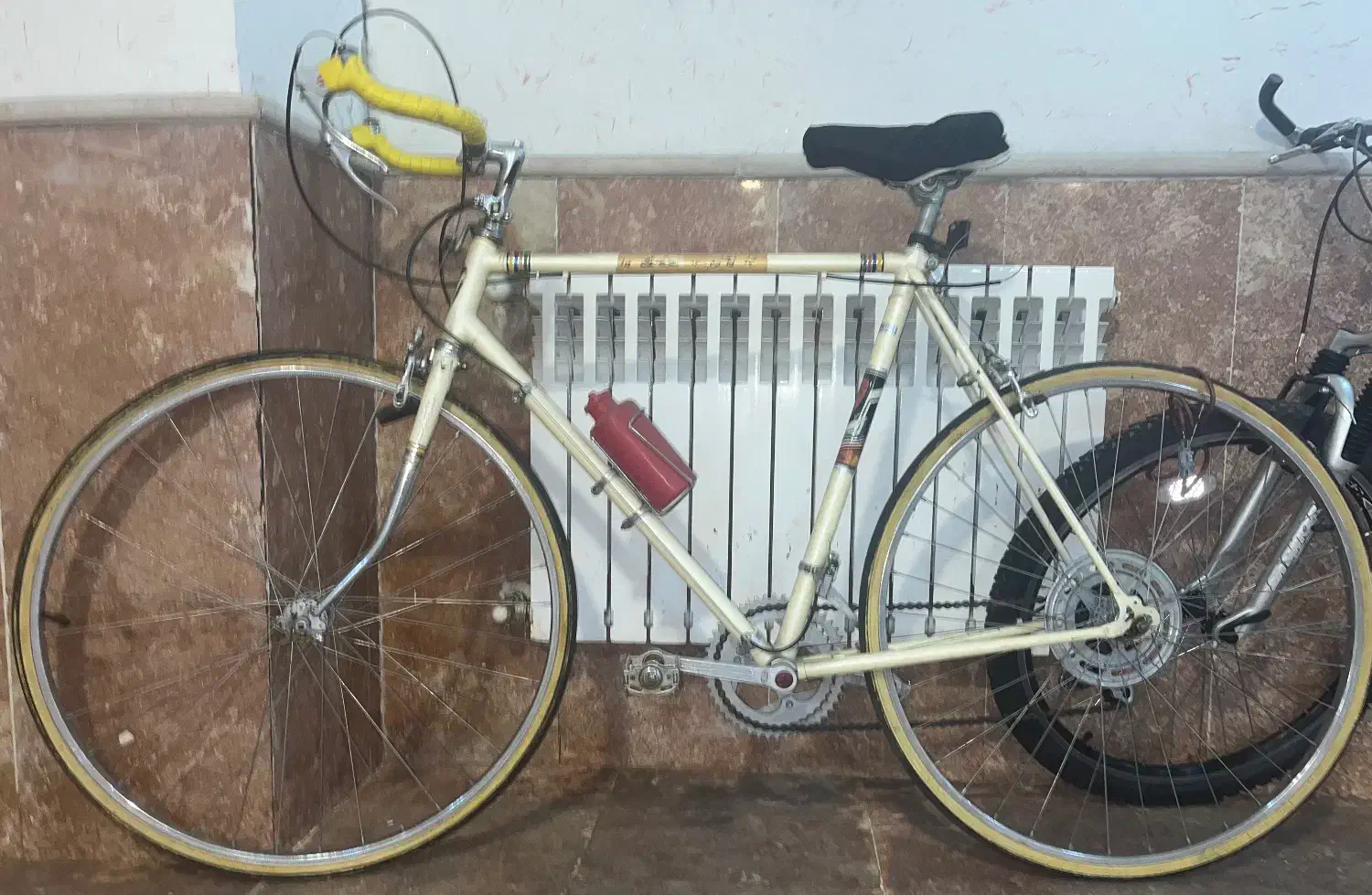 دوچرخه کورسی|دوچرخه، اسکیت، اسکوتر|تبریز, |دیوار