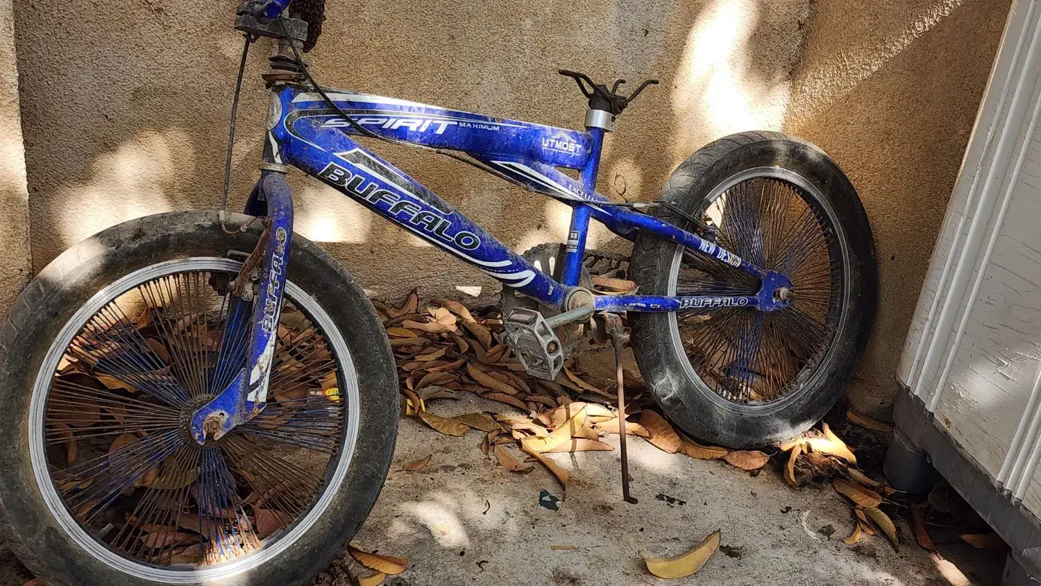 دوچرخه حرفه ای سایز ۲۰|دوچرخه، اسکیت، اسکوتر|بوشهر, |دیوار