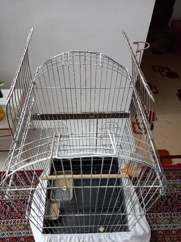 قفس طوطی|لوازم جانبی حیوانات|ملارد, |دیوار