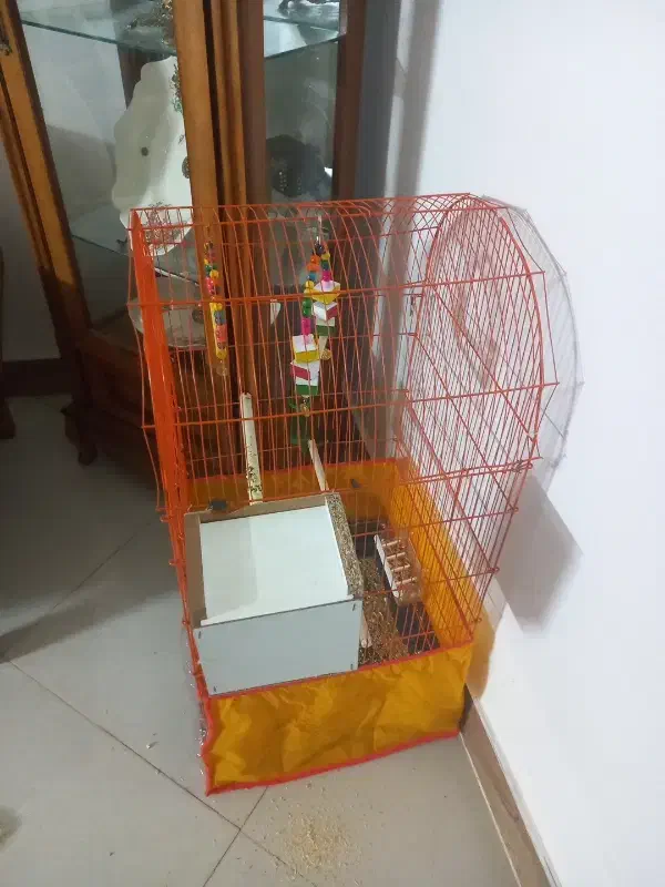قفس|لوازم جانبی حیوانات|نیشابور, ناسیونال|دیوار