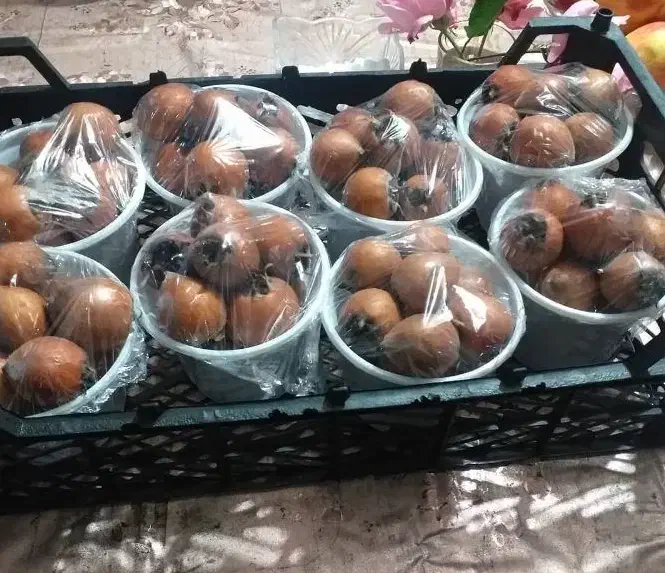 توزیع انواع میوه به مغازه داران و ارگان های دولتی|عمدهفروشی|تهران, میدان میوه و ترهبار مرکزی|دیوار