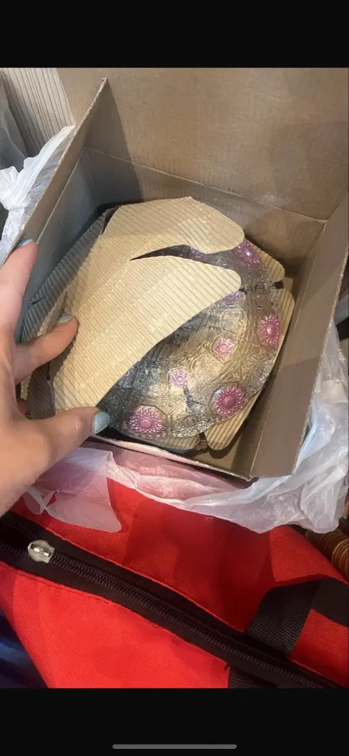 ست پذیرایی ژاپنی فقط و فقط ۲میلیون و نیم|ظروف سرو و پذیرایی|شیراز, شهرک فرزانگان|دیوار