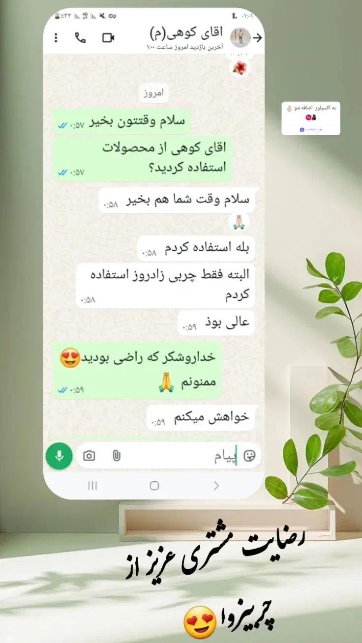 قرص کود ارگانیک|گل و گیاه طبیعی|نیریز, |دیوار