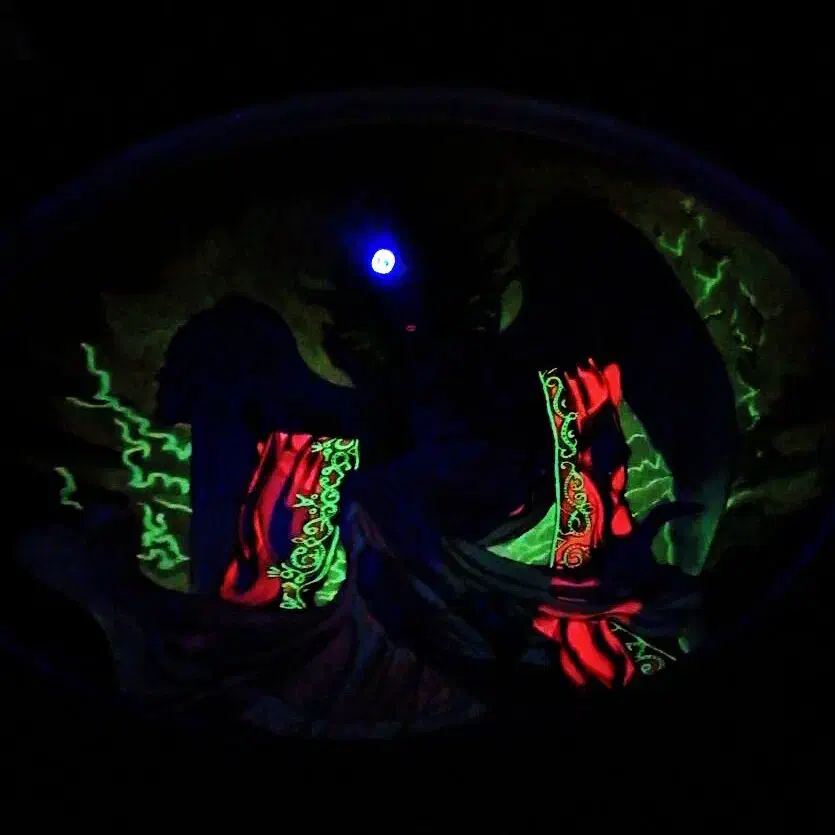 پذیرش انواع سفارشات نقاشی بلک لایت|تابلو، نقاشی، عکس|محمدشهر, سیدآباد|دیوار