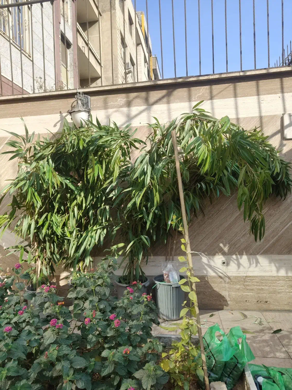 سرایداری و نظافت هوتل آپارتمان|استخدام سرایداری و نظافت|تهران, جیحون|دیوار