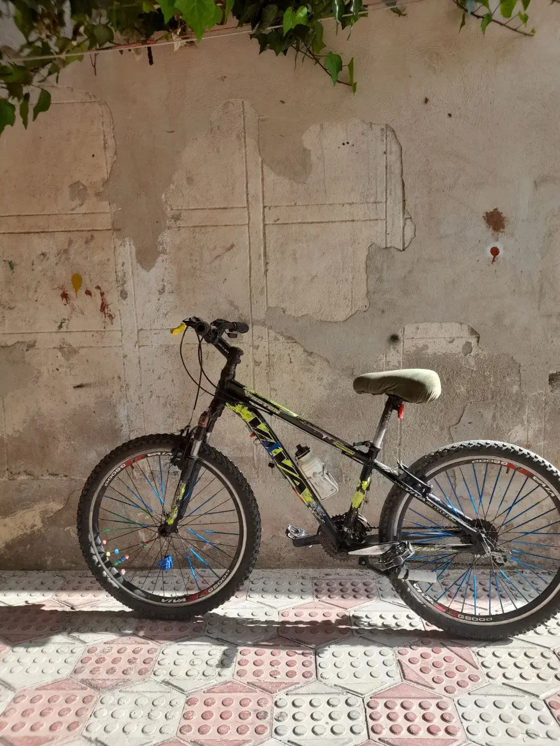 دوچرخه ویوا|دوچرخه، اسکیت، اسکوتر|اقبالیه, |دیوار