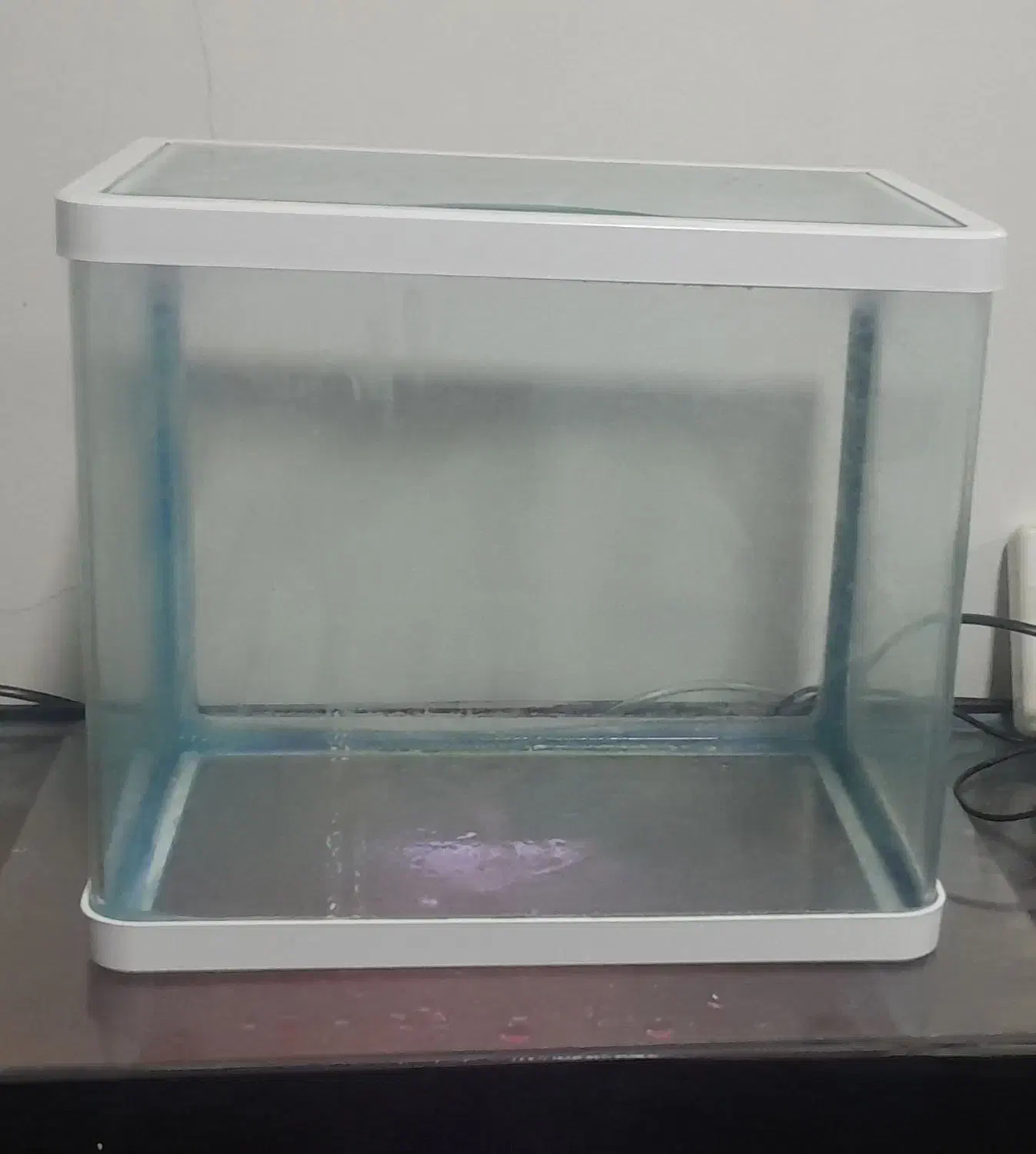 آکواریوم شیشه خم|ماهی|بندر انزلی, نیمه شعبان|دیوار