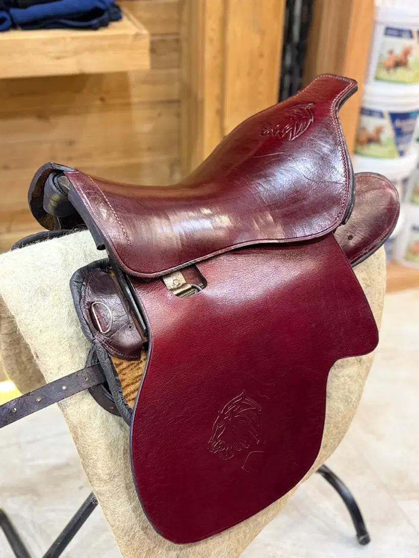 زین برنو برگ پهن|اسب و تجهیزات اسب‌سواری|اهواز, کمپلو شمالی|دیوار