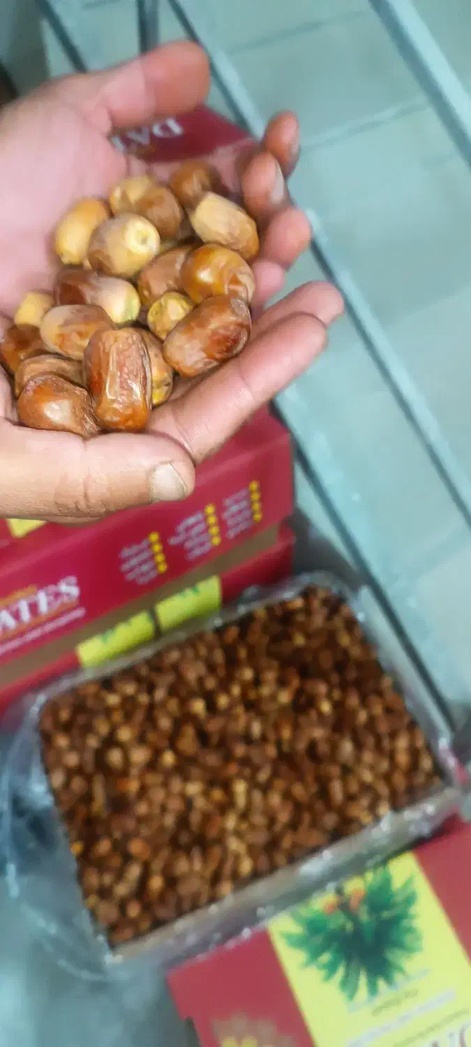 قصبک  تازه و باکیفیت|خوردنی و آشامیدنی|خشت, |دیوار